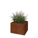 Cortenstaal plantenbak - Rechthoek - 60 x 50 x 40 cm - Met bodemplaat