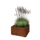 Cortenstaal plantenbak - Rechthoek - 60 x 50 x 30 cm - Met bodemplaat - Met poten