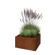 Cortenstaal plantenbak - Rechthoek - 60 x 50 x 30 cm - Zonder bodemplaat