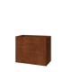 Cortenstaal plantenbak - Rechthoek - 100 x 50 x 80 cm - Zonder bodemplaat