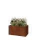 Cortenstaal plantenbak - Rechthoek - 100 x 50 x 50 cm - Met bodemplaat