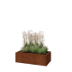 Cortenstaal plantenbak - Rechthoek - 100 x 50 x 30 cm - Zonder bodemplaat
