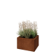 Cortenstaal plantenbak - Rechthoek - 50 x 40 x 30 cm - Zonder bodemplaat