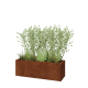 Cortenstaal plantenbak - Rechthoek - 120 x 40 x 40 cm - Met bodemplaat