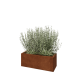 Cortenstaal plantenbak - Rechthoek - 80 x 30 x 30 cm - Met bodemplaat