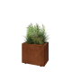 Cortenstaal plantenbak - Rechthoek - 50 x 30 x 40 cm - Met bodemplaat - Met poten