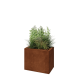Cortenstaal plantenbak - Rechthoek - 50 x 30 x 40 cm - Met bodemplaat