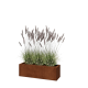 Cortenstaal plantenbak - Rechthoek - 100 x 30 x 30 cm - Zonder bodemplaat