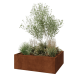 Cortenstaal plantenbak - Rechthoek - 120 x 100 x 40 cm - Met bodemplaat
