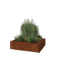 Cortenstaal plantenbak - Rechthoek - 120 x 100 x 30 cm - Met bodemplaat