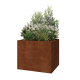 Cortenstaal plantenbak - Rechthoek - 100 x 80 x 80 cm - Zonder bodemplaat
