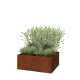 Cortenstaal plantenbak - Rechthoek - 100 x 80 x 40 cm - Zonder bodemplaat