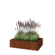 Cortenstaal plantenbak - Rechthoek - 120 x 80 x 30 cm - Met bodemplaat