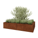 Cortenstaal plantenbak XXL - Rechthoek - 200 x 120 x 40 cm - Met bodemplaat