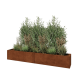 Cortenstaal plantenbak XXL - Rechthoek - 200 x 30 x 30 cm - Met bodemplaat