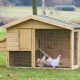 Dierenverblijf Barnevelder