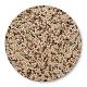 WS StoneBinder Sea Shell