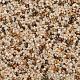 WS StoneBinder Sea Shell