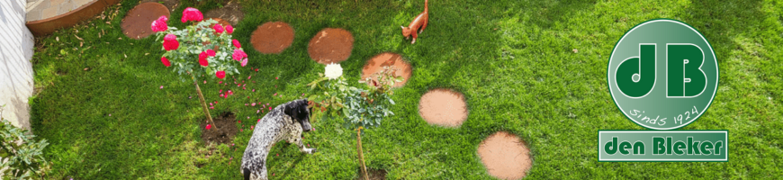 Cortenstaal staptegel