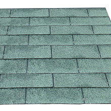 Shingles Groen / 1 pak excl. nagels