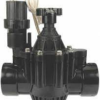 Rain Bird Magneetventiel glasvezel versterkt nylon 2" binnendraad 10bar 24VAC zwart type PGA