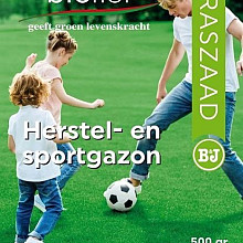 Bioflor Herstel- en Sportgazon 500 g