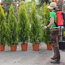 BIRCHMEIER FLOX 10 AT1