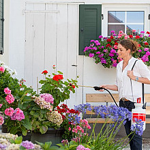 BIRCHMEIER GARDEN STAR 3