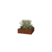 Cortenstaal plantenbak - Vierkant - 200 x 200 x 60 cm - Gelast - Zonder bodemplaat