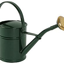 Gieter 2l metaal groen