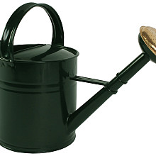 Gieter 5l metaal groen