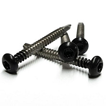 RVS schroef met gekleurde top voor NewTechWood Castellation PRO, set a 50 stuks incl. bit, Ebony Zwa