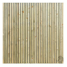 Elephant Schutting Stripes Black Verticaal – Stijlvolle FSC® Vuren Schutting met Zwarte Folie