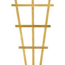 Elephant Plantenklimrek Verduurzaamd Grenen FSC – 70x180 cm