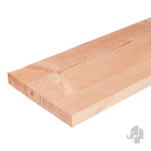 Elephant schuttingplank gedroogd Douglas PEFC 1,6x14x250 cm – duurzaam, strak en natuurlijk