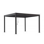 Carp Garant Premium overkapping 3x4 Antraciet incl  handmatig Alu. kanteldak – Luxe, Comfort en Duur