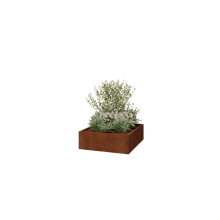 Cortenstaal plantenbak - Vierkant - 120 x 120 x 40 cm - Gelast - Met bodemplaat