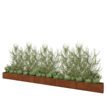 Cortenstaal plantenbak XXL - Rechthoek - 500 x 30 x 30 cm - Zonder bodemplaat