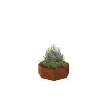 Cortenstaal plantenbak - Achthoek - 96,6 x 96,6 x 30 cm - Zonder bodemplaat