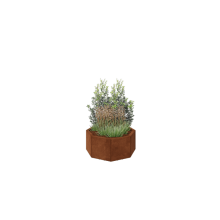 Cortenstaal plantenbak - Achthoek - 72,4 x 72,4 x 30 cm - Met bodemplaat - Met poten