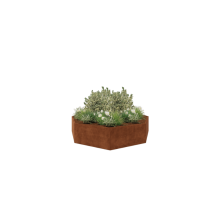 Cortenstaal plantenbak - Achthoek - 289,7 x 289,7 x 60 cm - Zonder bodemplaat