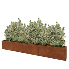 Cortenstaal plantenbak XXL - Rechthoek - 300 x 30 x 40 cm - Zonder bodemplaat