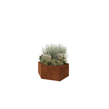 Cortenstaal plantenbak - Zeshoek - 159,3 x 138,6 x 60 cm - Zonder bodemplaat