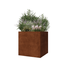 Cortenstaal plantenbak - Vierkant - 70 x 70 x 70 cm - Zonder bodemplaat