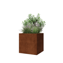 Cortenstaal plantenbak - Vierkant - 60 x 60 x 60 cm - Met bodemplaat