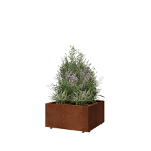 Cortenstaal plantenbak - Vierkant - 60 x 60 x 30 cm - Met bodemplaat - Met poten