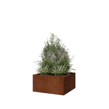 Cortenstaal plantenbak - Vierkant - 60 x 60 x 30 cm - Met bodemplaat