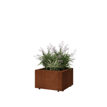 Cortenstaal plantenbak - Vierkant - 50 x 50 x 30 cm - Met bodemplaat - Met poten
