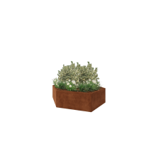 Cortenstaal plantenbak - Zeshoek - 239,3 x 207,8 x 60 cm - Zonder bodemplaat