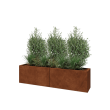 Cortenstaal plantenbak XXL - Rechthoek - 160 x 30 x 40 cm - Met bodemplaat
